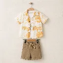 425304-yellow.webp