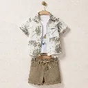 425304-olive.webp