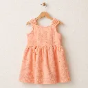 428899-coral.webp