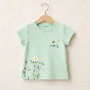 407025-mint.webp