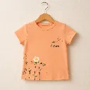 407025-peach.webp