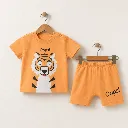 424181-orange.webp