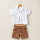458188-brown.webp