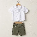 458188-olive.webp