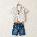 458191-sage-stripe.webp