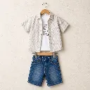 458191-taupe-stripe.webp