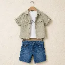 458597-olive.webp