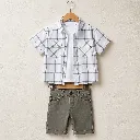 460567-olive.webp