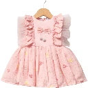 Heart Tulle Baby Dress