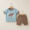 Elephant Explorer Set